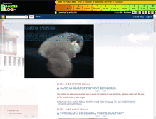 Tablet Screenshot of nashpers.boosterblog.es