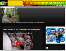 Tablet Screenshot of marianetxezarreta.boosterblog.es