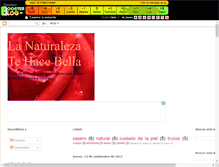 Tablet Screenshot of natural.boosterblog.es